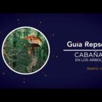 Cabañas en los árboles en Galicia: Una experiencia única