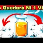 5 formas efectivas de ahuyentar mosquitos en casa