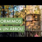 Cabaña en el árbol España: Una escapada única en plena naturaleza