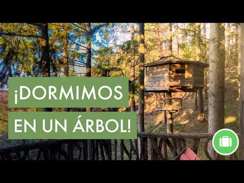 Cabaña en el árbol España: Una escapada única en plena naturaleza
