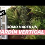 Cómo hacer un jardín vertical: Guía completa.