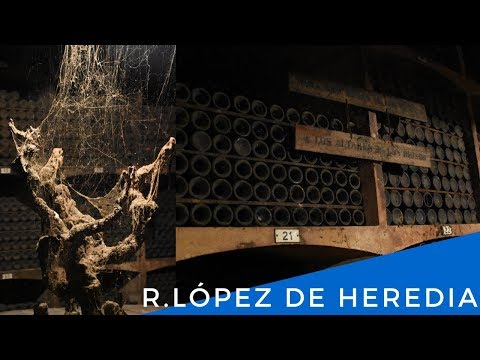 Descubre el vino Bages 964 de la bodega Oller del Mas