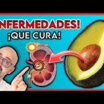 Hueso de aguacate en agua: beneficios y usos