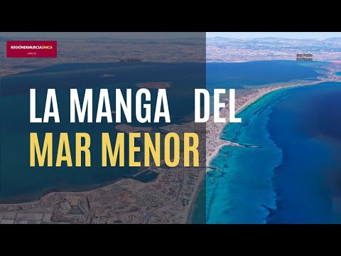 Manga del mar mayor: todo lo que debes saber