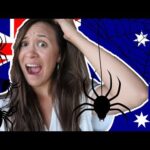 Época de araña en Australia: Todo lo que necesitas saber