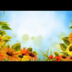 Fondos de pantalla de flores: Belleza natural para tu pantalla