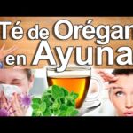 Beneficios del Orégano: ¿Para qué sirve?