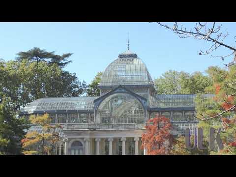 Palacio de Cristal del Retiro: Belleza natural en Madrid
