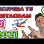 Cómo recuperar cuenta de Instagram: Guía paso a paso.