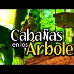 Cabañas en los árboles en Cataluña: Una experiencia única de alojamiento