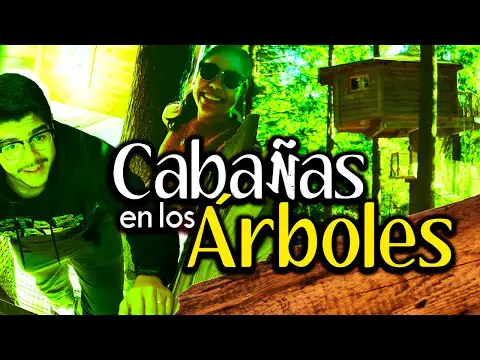 Cabañas en los árboles en Cataluña: Una experiencia única de alojamiento