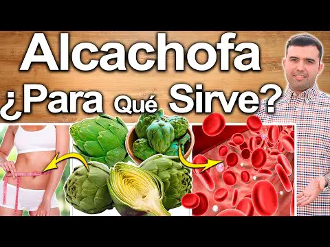 Descubre los beneficios de la alcachofa de la ducha