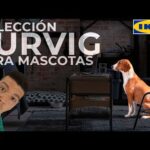 Perros en IKEA: ¿Está permitido su ingreso?