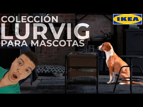 Perros en IKEA: ¿Está permitido su ingreso?
