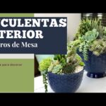 Centro de mesa de cactus: la decoración perfecta para tu hogar