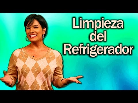 Enchufar y desenchufar el frigorífico: consejos prácticos.