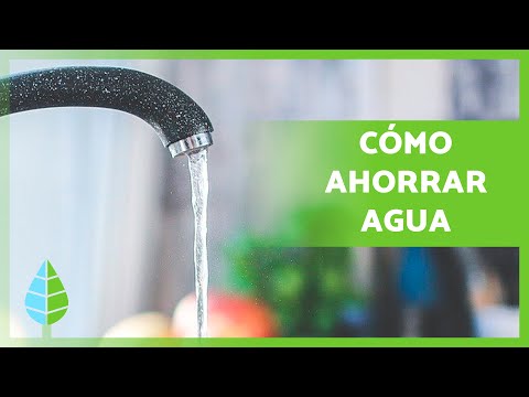 Consejos para ahorrar agua en casa.