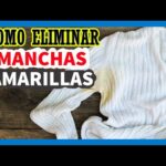 Cómo eliminar manchas amarillas en las hojas: Consejos prácticos.