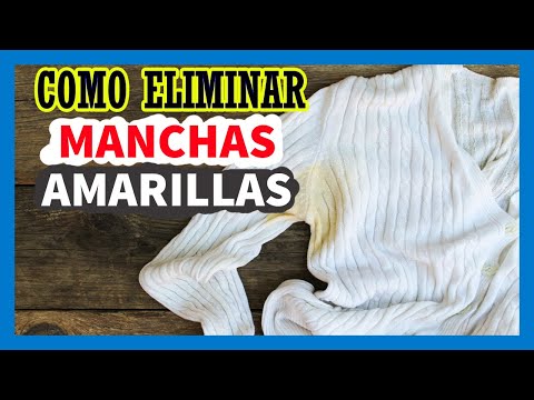 Cómo eliminar manchas amarillas en las hojas: Consejos prácticos.