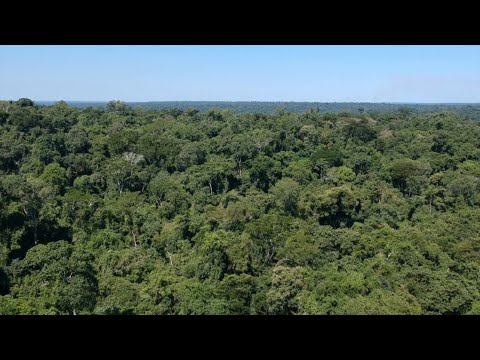 Hotel Restaurante El Bosque SL: Descubre la hospitalidad en la naturaleza