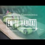 El Estudio de Ana Restaurante: Experiencia gastronómica única.