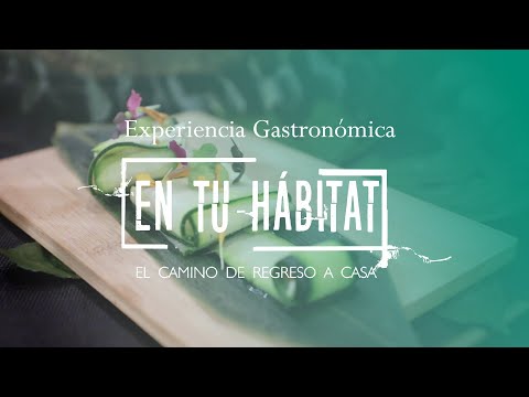El Estudio de Ana Restaurante: Experiencia gastronómica única.