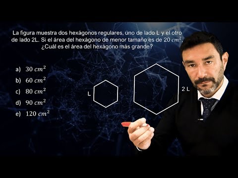 El Pabellón de los Hexágonos: Explorando la geometría perfecta