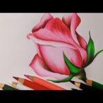 Dibujos de flores de colores: ¡Inspírate con estas hermosas creaciones!