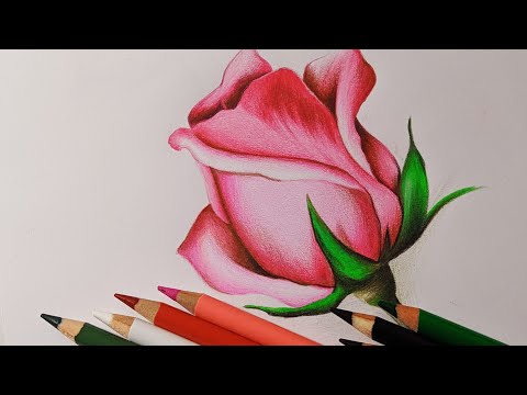 Dibujos de flores de colores: ¡Inspírate con estas hermosas creaciones!