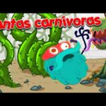 Plantas Carnívoras para Niños: Información Básica.