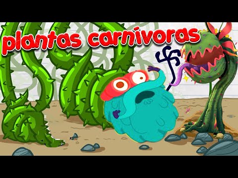 Plantas Carnívoras para Niños: Información Básica.