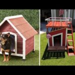 Diseño de casas para perros: Ideas creativas y funcionales