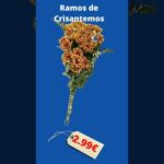 Compre Flores para Todos los Santos en Lidl