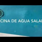 Desventajas de las piscinas de agua salada: Lo que debes saber