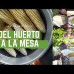 Del Huerto a la Mesa: Consejos para Comer Fresco y Saludable.