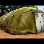 La Casa en el Desierto: Un Refugio Único en un Paisaje Árido.