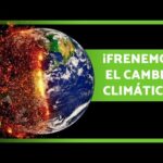 5 maneras efectivas para evitar el cambio climático