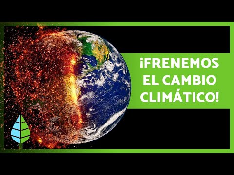 5 maneras efectivas para evitar el cambio climático