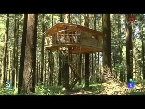 Casa en el árbol en Bilbao: un alojamiento único en plena naturaleza