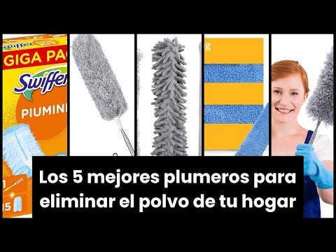 Los mejores plumeros: ¿Cuál es la mejor opción para ti?