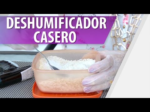 Elimina el olor a humedad en casa: Consejos efectivos.