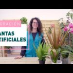 Plantas artificiales decorativas para interiores: ¡Dale vida a tu hogar!