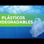 Material biodegradable: ¿Qué es y por qué es importante?