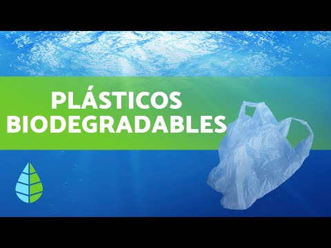 Material biodegradable: ¿Qué es y por qué es importante?