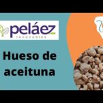 Comprar hueso de aceituna online - ¡Aprovecha nuestras ofertas!