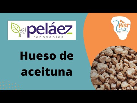 Comprar hueso de aceituna online - ¡Aprovecha nuestras ofertas!