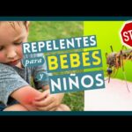 10 consejos para evitar picaduras de mosquitos