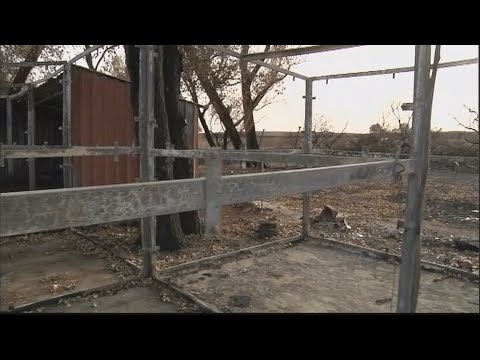 Casa Benito en Fuente el Saz: Descubre su encanto rural