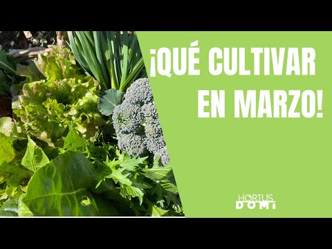 Plantar en marzo: todo lo que necesitas saber