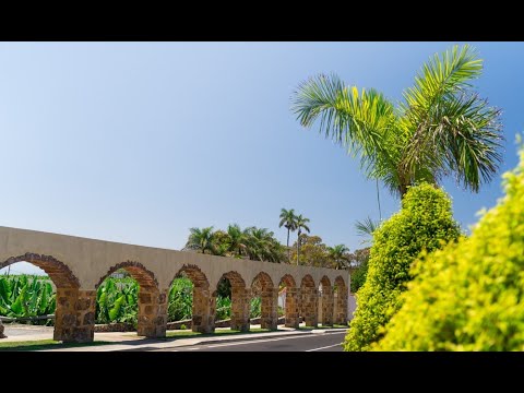 Descubre el encanto del Arco Verde en la Comunidad de Madrid